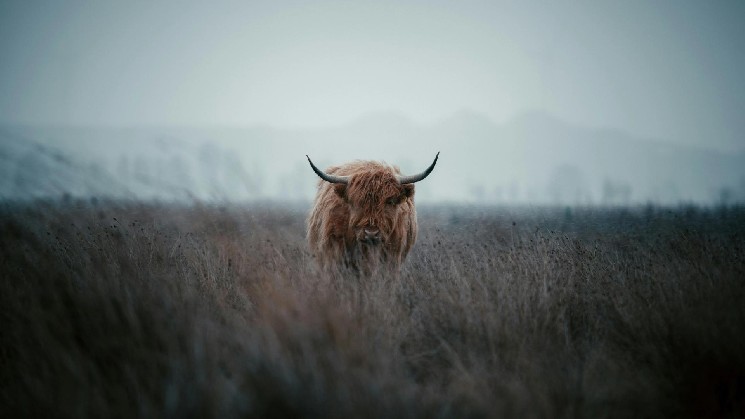 Bitcoin's 44% gain in third quarter teases full-blown crypto bull run