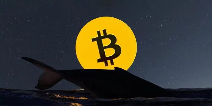 Bitcoin Whale That Remained Inactive for Four Years Transfers Approximately $46 Million Worth of BTC! Here Are the Details