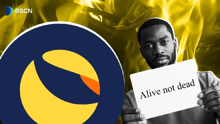 How Did the Community Keep the "Dead" Terra Classic Blockchain Alive?