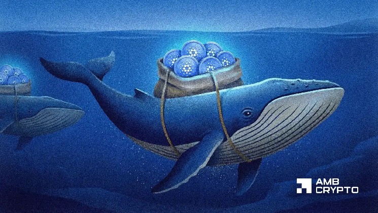 Cardano’s whale growth is positive, but will it be enough for demand to catch up?
