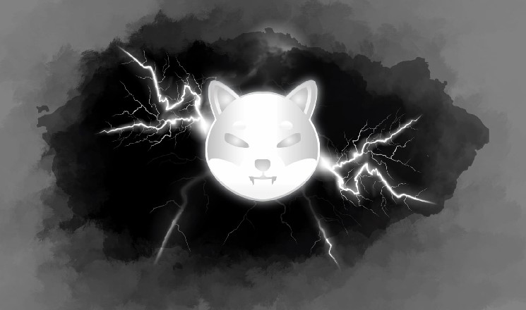 Are SHIB Whales Afraid of a 'Ryoshi Dump'? Billions of Shiba Inu Coins Sent to Binance, Again