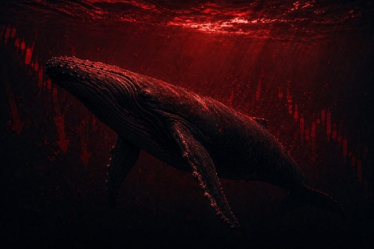 Warning: Whales Have Exited an Altcoin, Causing Retail Investors’ Investments to Plunge