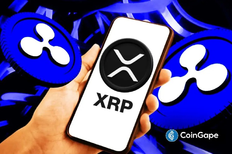 XRP News: Validator Warns wXRP on Solana Faces Risk Similar to $292M KelpDAO Hack