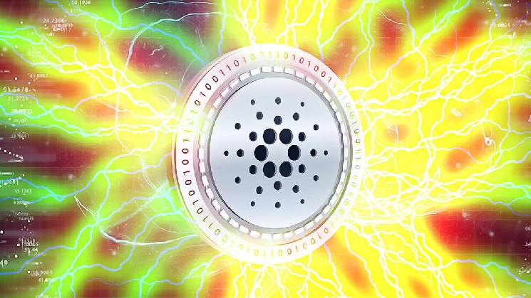 Midnight bridge debate intensifies after Hoskinson’s response and CoinSpot listing