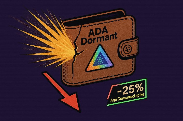 Cardano ADA dormant wallet activity hits largest spike since April amid 25% drop