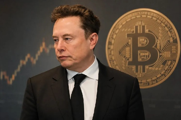 Surprising Comments on Cryptocurrency from Elon Musk: “Some Have Value, But Most Are a Scam”