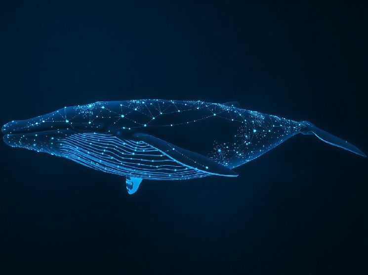 Whale Address Acquires $3.7M in ENA and Stakes on Ethena