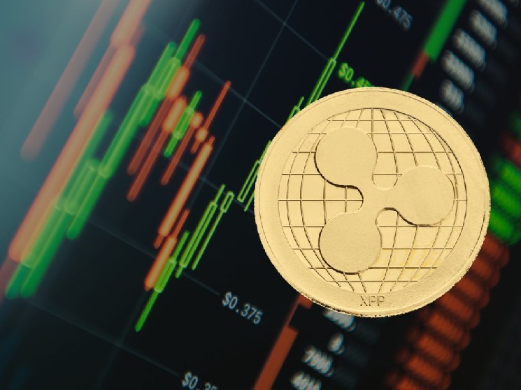Positive Sentiment Prevails in XRP ETFs: Here Are the Latest Data