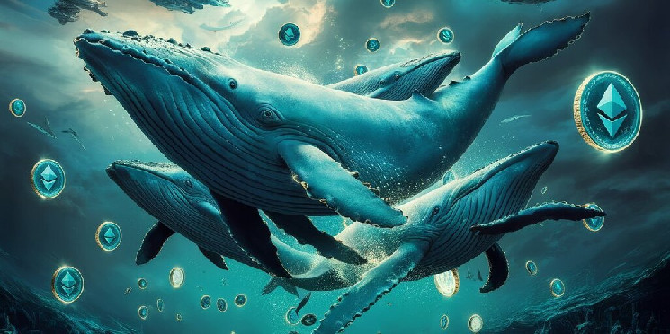 Awesome Image
