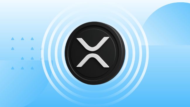 3 Major Exchanges Turn Negative in XRP Wallet Metric: Coinbase Leads at -10.9K