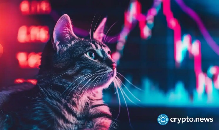 NEAR 50% weekly rally crowns altcoin enters ‘holy trinity’ trade