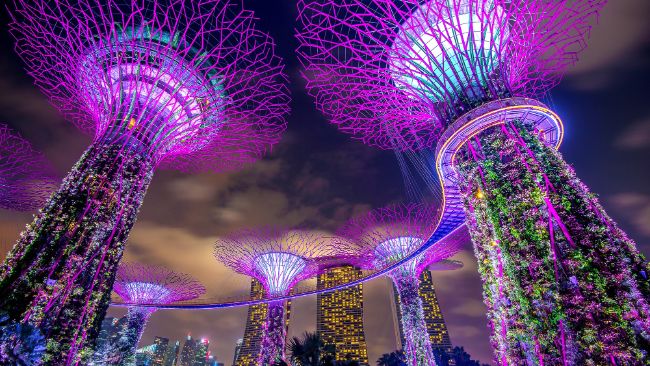 Singapore Gulf Bank Launches Stablecoin Service