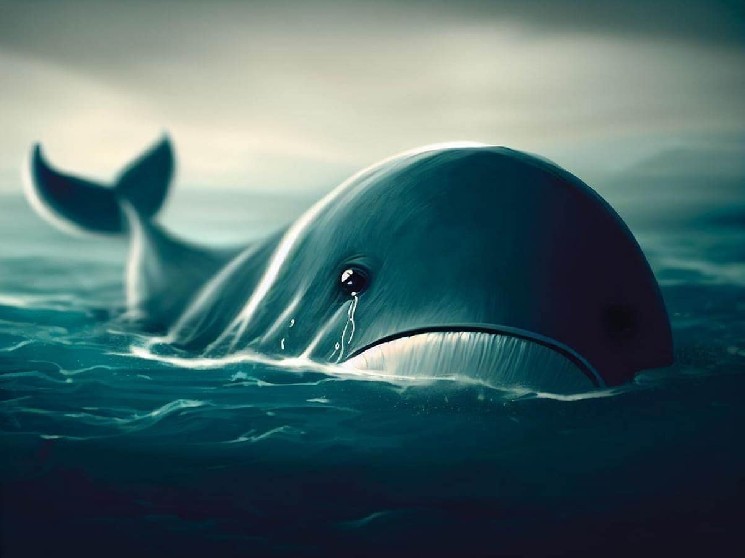 Awesome Image