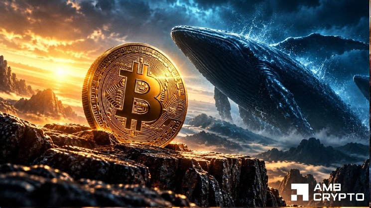 Bitcoin holders cut exchange transfers as whales move $307M — $80K rebound next?