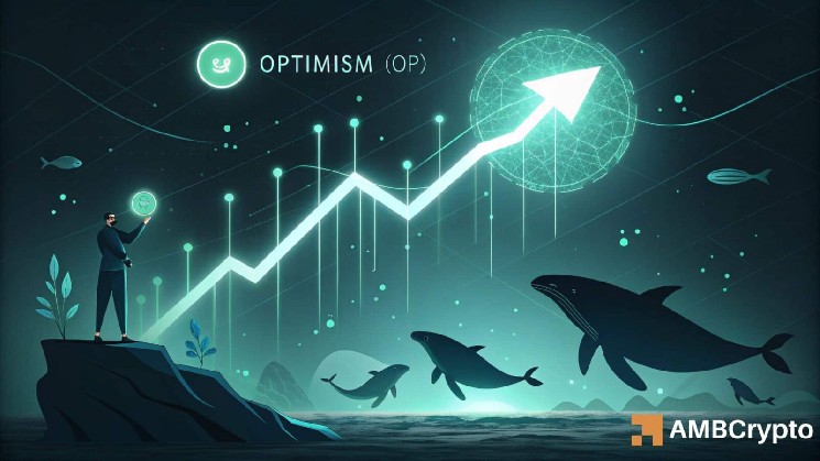 Optimism – Assessing how whale buying is pushing OP’s price towards $0.166