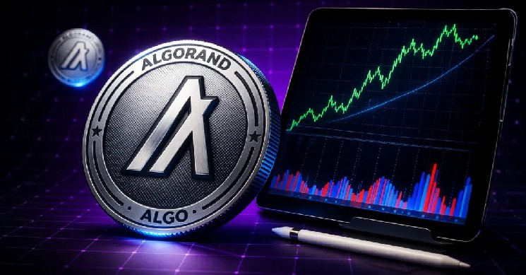 Algorand Price Prediction: 3 Key Catalysts That Point to $0.50