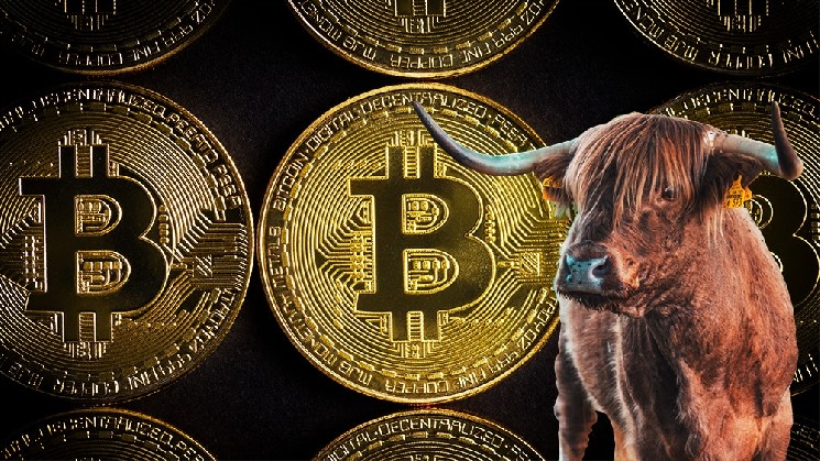 Matt Hougan, One of the Market’s Most Recognized Experts, Assessed When the Bitcoin Bull Market Might Return
