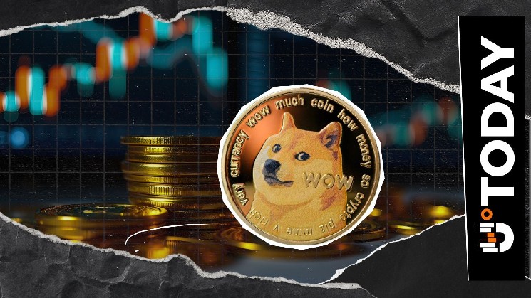 '1 DOGE = 1 DOGE': Dogecoin Director Says What Truly Matters Amid Market Drop