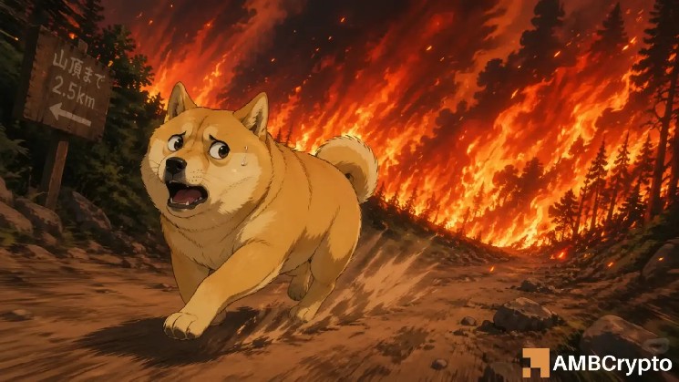 Analyzing Dogecoin’s deep divergence as weak demand meets rising speculation