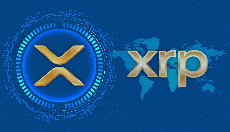 History Repeating? XRP Millionaires Spend $724 Million in Race for $2