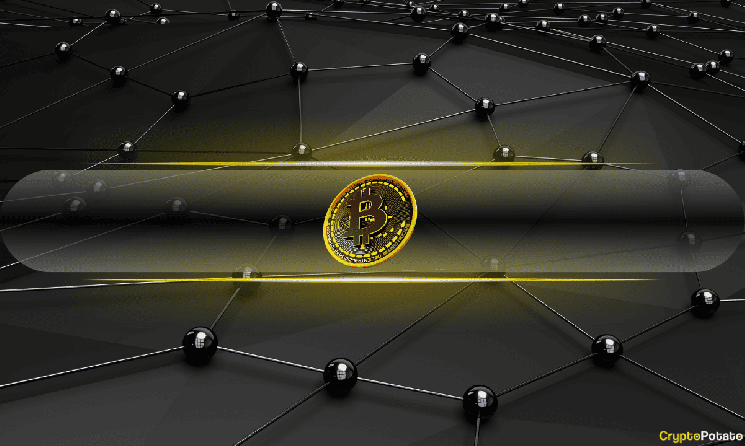 This Is Why Bitcoin Treasury Companies Can Be Riskier Than BTC