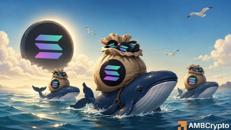Solana: Amid rising ETF inflows and whale demand, will SOL break $97?