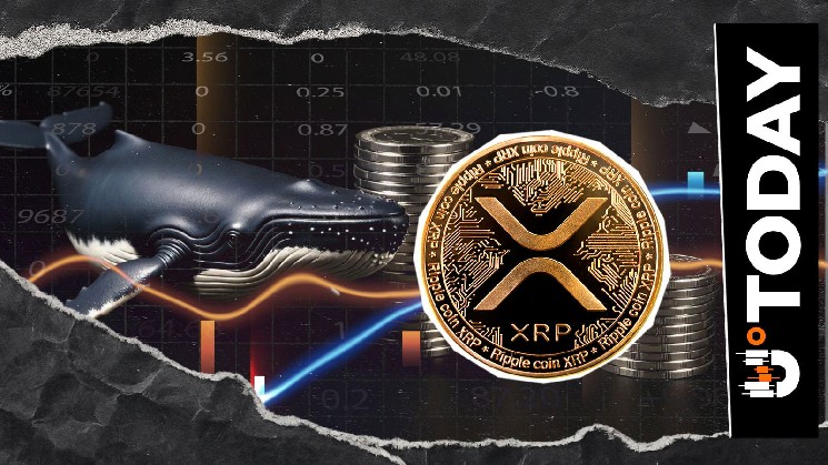 190 Million XRP Purchased by Whales in Past Week Amid Price Fall