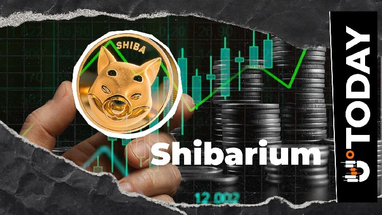 Shiba Inu: Shibarium Locks 'M' Movement Amid Fresh Transaction Wave