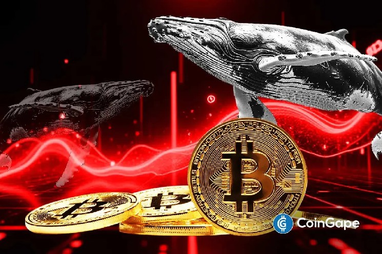 Bitcoin Whale Dumps 7,700 Coins as BTC Targets to Break $80K Wall