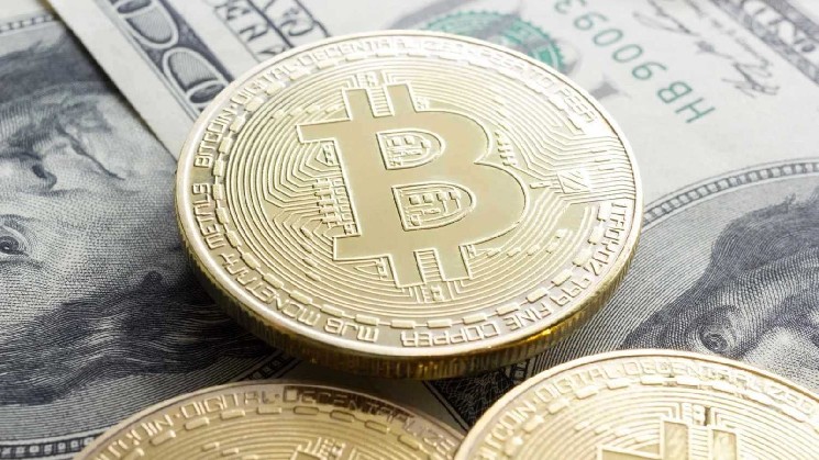 Over 11,000 Bitcoin millionaires added in August 2026