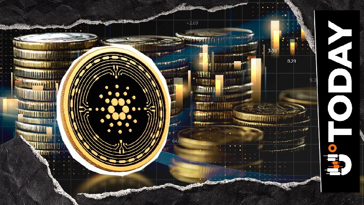 Cardano Welcomes New Native Library for Python, Go, Rust and JavaScript