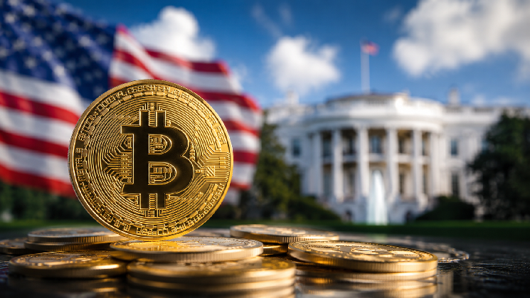 Bitcoin Price Today: Tests $80,000 Support After Strong US Jobs Data