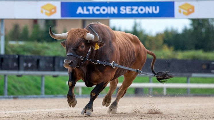 Signs of Movement in the Altcoin Season Index: Is the Long-Awaited Moment Finally Here?