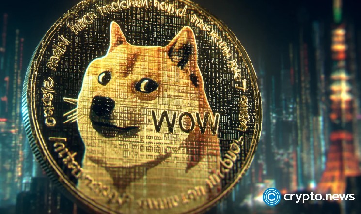 DOGE rally heats up as whale activity hits 6-month high