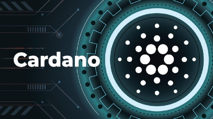 Cardano Ecosystem’s Lead Developer Makes Radical Decision for the Project’s Future! Here Are the Details