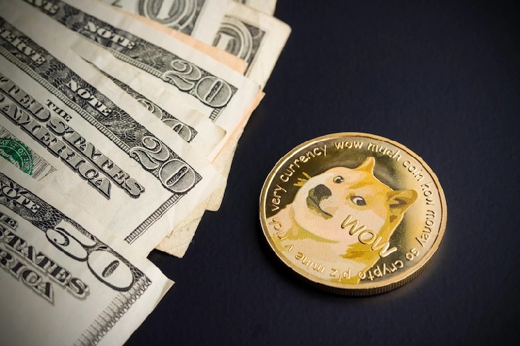 Dogecoin whales hit a 6-month high in activity
