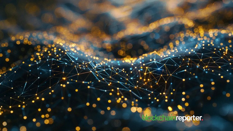 RocketX x Birb Nest: New Partnership Aims to Redefine Private Crypto Transactions Across 200+ Chains