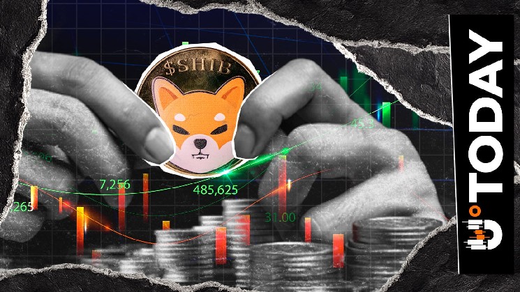 SHIB Veteran Shares Ecosystem Progress With Key Warning on 'Official' Accounts