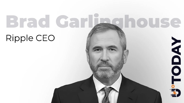 Ripple CEO Shares Stunning XRP Selfie