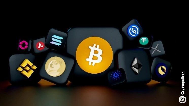 Exchange listings doubled this cycle, despite token project weakness