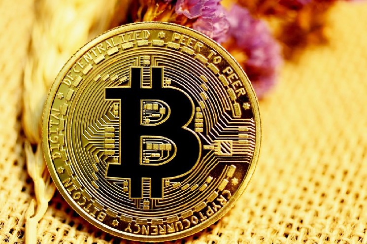 HighlyPraised Technical Analyst Speaks Out on Bitcoin Price