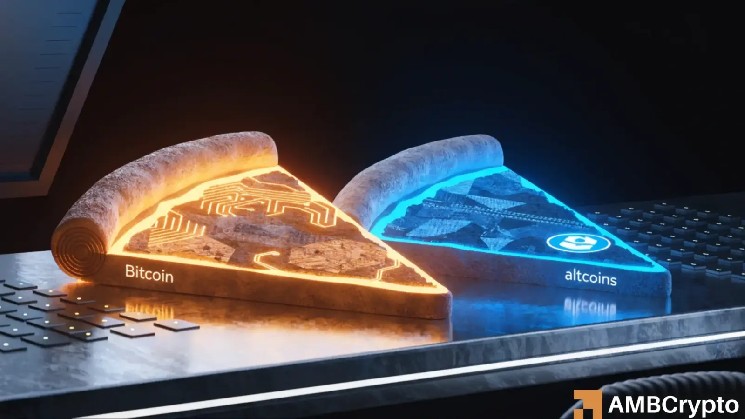 Altcoins rise on Bitcoin Pizza Day – Why is capital rotating away from BTC?
