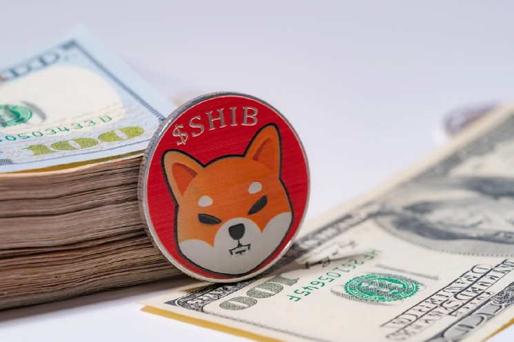 665 Billion Shiba Inu (SHIB) Injection Recorded, but Will the Price Surge?
