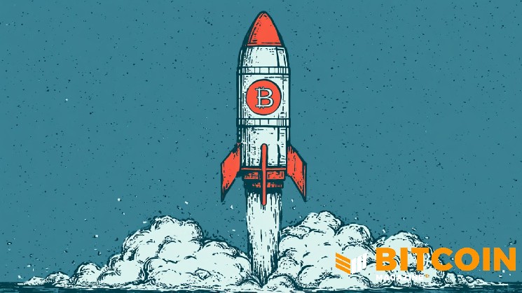 Public Companies Added 43,557 BTC in May as SpaceX Enters Bitcoin Treasury Race