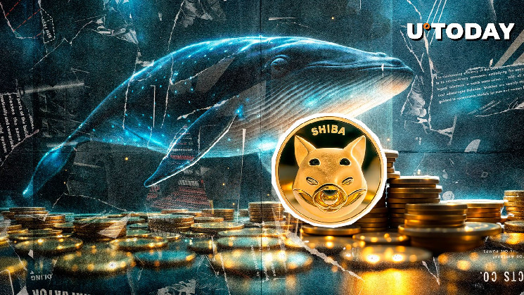 Awesome Image