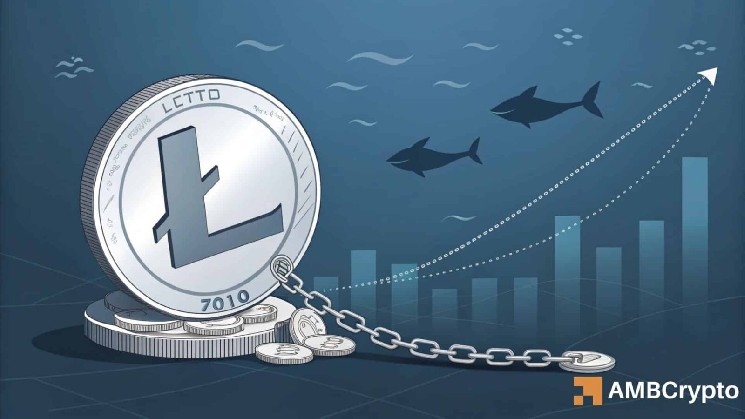 Litecoin recovers post-attack – Will LTC’s pennant breakout follow?