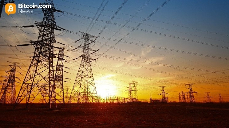 Differently Secured: Bitlease Founder Nima Beni on Why Falling Hashrates Aren't a Threat