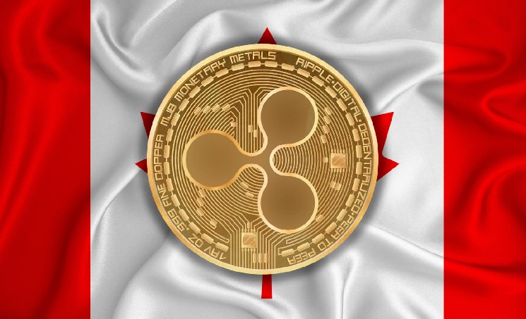 Bank of Montreal Discloses XRP Holdings in $303 Billion Portfolio