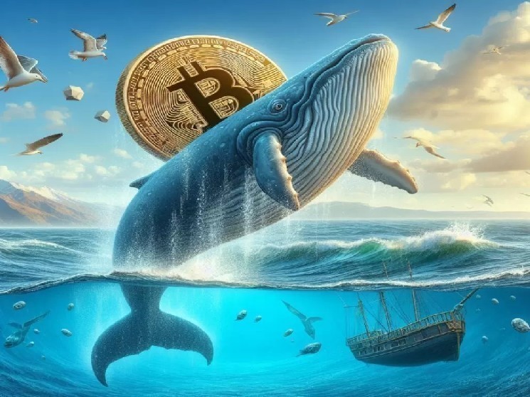 Attention: The 13-Year-Old Ancient Whale Who Bought Bitcoin (BTC) for Only $332 Has Made a Move! Here’s the Huge Profit It Made!