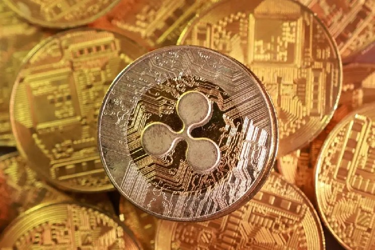 XRP Whales Are Withdrawing Their Coins from Exchanges: What Does This Mean?